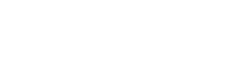 nosERP - Logo_white